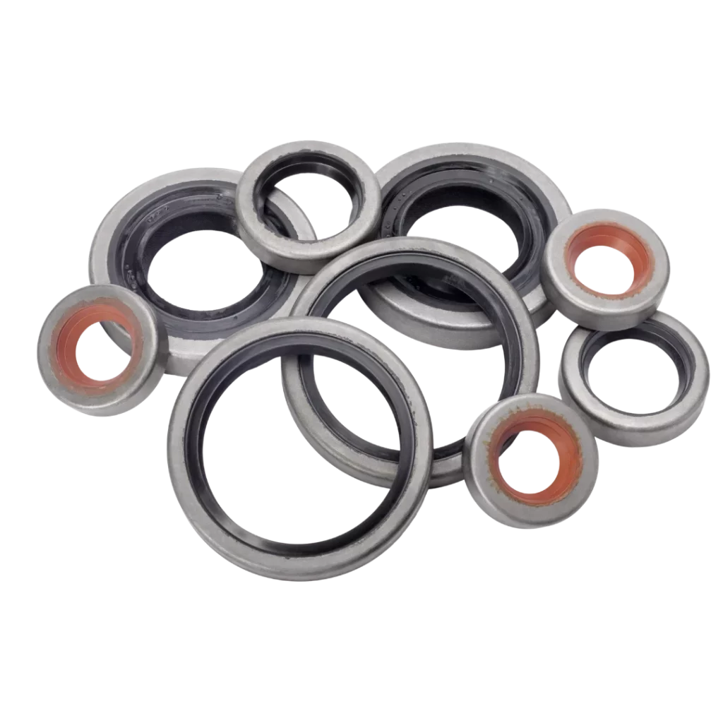 Abbildung verschiedener Dichtungen und O-Ringen